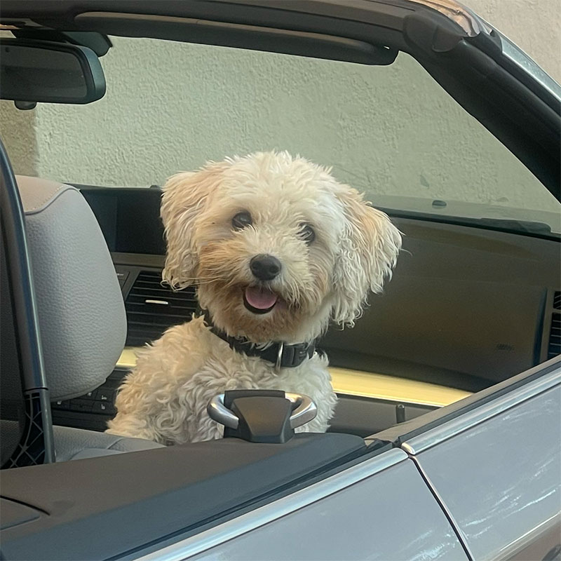 coco